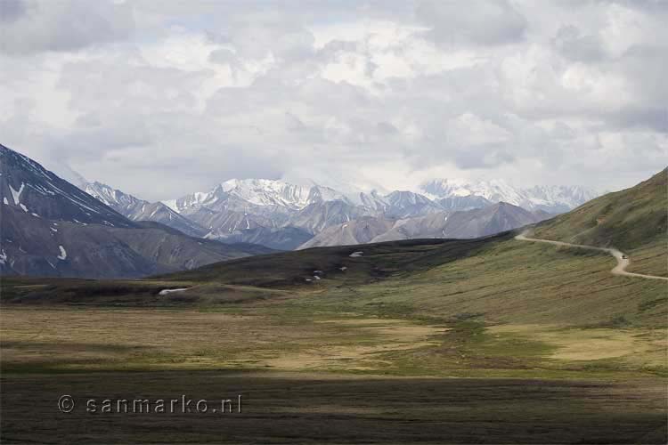 Uitgestrekte vlakte in Denali National Park