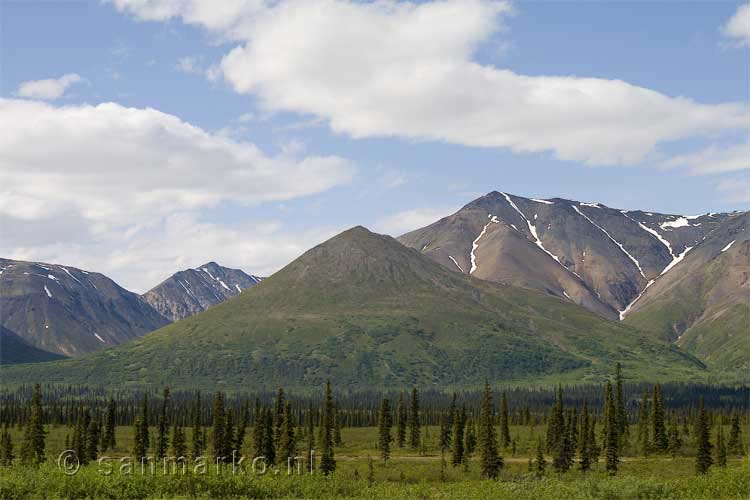 Kegelvormige berg in de Alaska Range