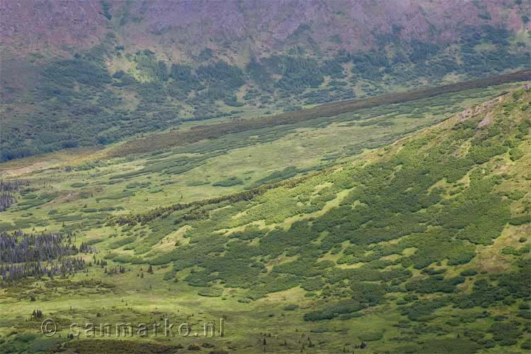 Groene vallei gezien vanaf Flat Top Mountain