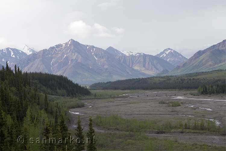 Het uitzicht over de Teklanika rivier in Alaska