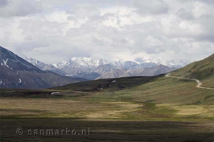 Uitgestrekte vlakte in Denali National Park