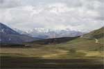 Uitgestrekte vlakte in Denali National Park