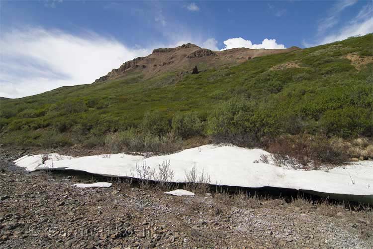 De laatste restjes sneeuw in Denali