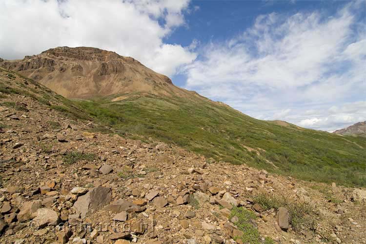 Wandelen in de wildernis van Denali