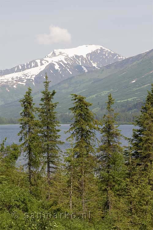 Het uitzicht op de Seward Highway in Alaska