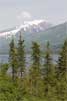 Het uitzicht op de Seward Highway in Alaska