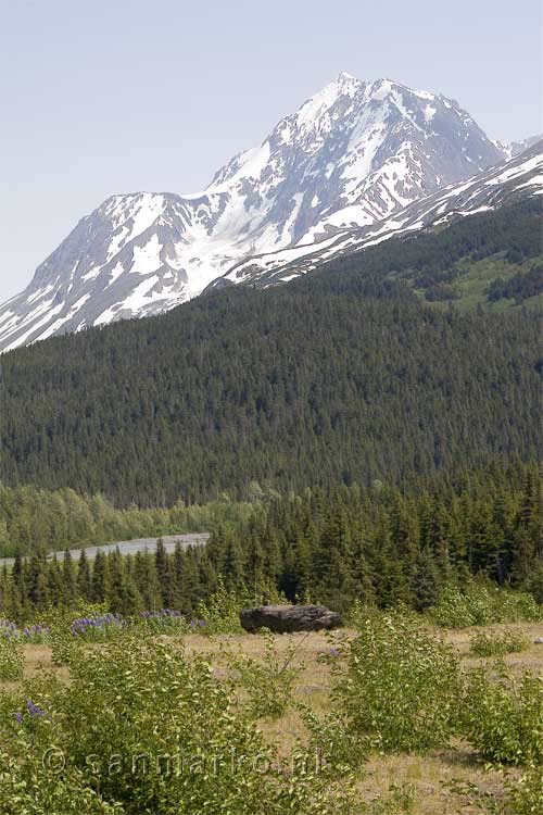 Paradise Valley net voor Seward in Alaska