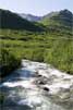 Archangel Creek bij Hatcher Pass in Alaska