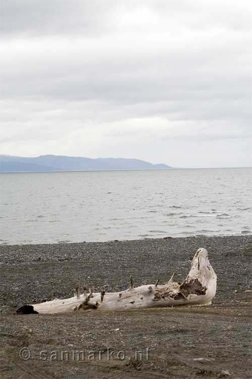 Een stuk drijfhout op het strand bij Homer in Alaska