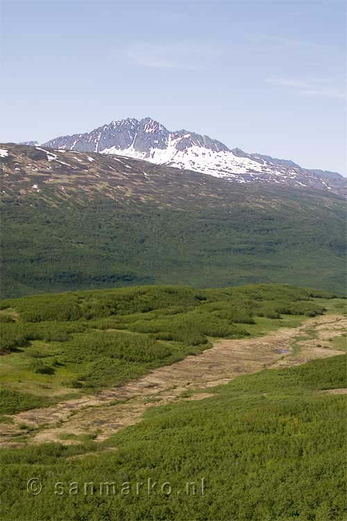 Het uitzicht vanaf Thompson Pass bij Valdez in Alaska