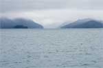 Een beetje bewolkt en mistig in Prince William Sound in Alaska