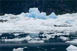 We varen midden tussen de ijsbergen in Alaska