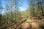 Het wandelpad door de bossen van Bouillon in de Ardennen