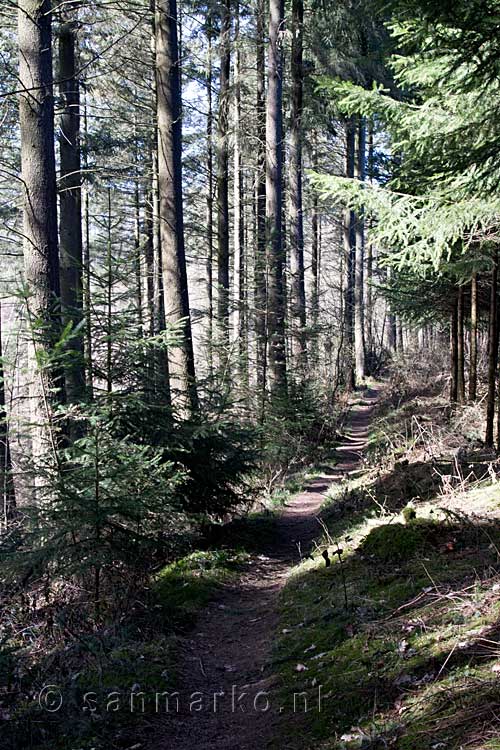 Het wandelpad langs Tombeau du Géant in de Ardennen bij België