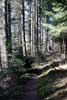 Het wandelpad langs Tombeau du Géant in de Ardennen bij België