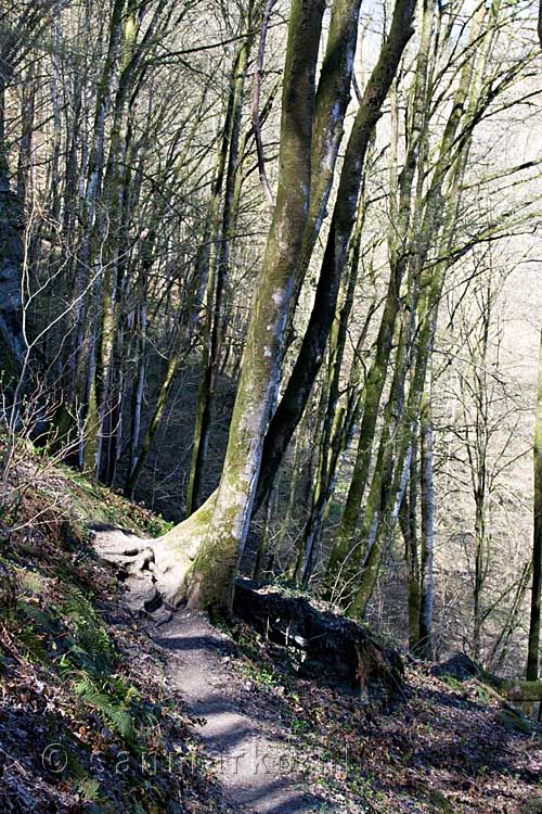 We wandelen door de mooie natuur in de omgeving van Bouillon