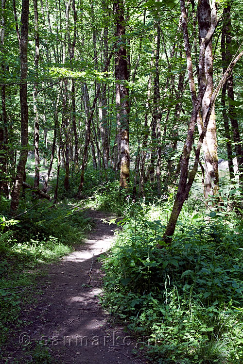 Het wandelpad wordt echt een wandelpad richting Daverdisse