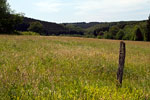 Het uitzicht over weilanden en bossen rondom Lesse in de Ardennen