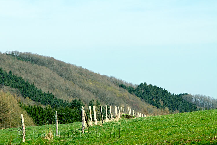 Een van de schitterende uitzichten tussen Erezée en Fanzel in de Ardennen
