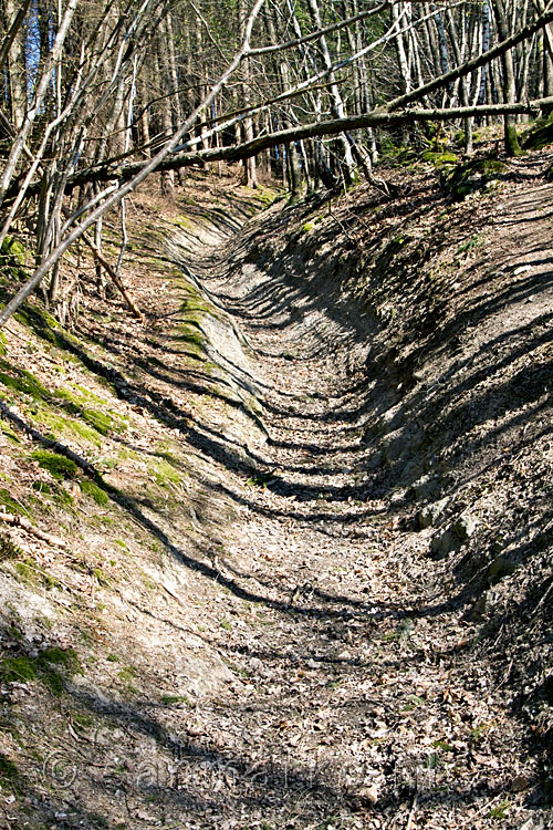 Eén van de steile wandelpaden tijdens deze wandeling bij Erezée in de Ardennen