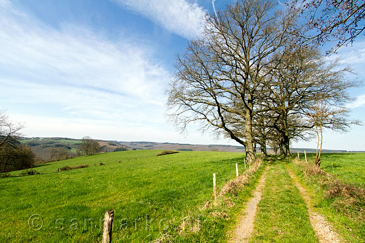 Met schitterend weer wandelen we over de open velden in de Ardennen bij Erezée