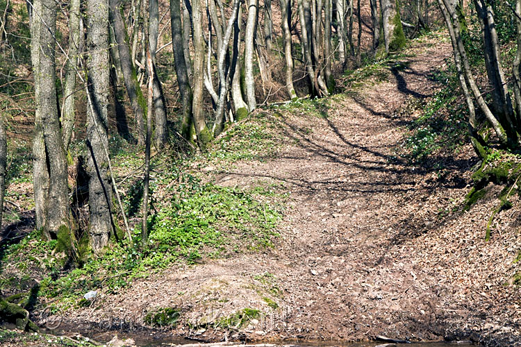 De weg omhoog vanuit Fanzel naar Weris tijdens de wandeling in de Ardennen in België