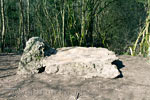 Een grote steen met de naam Lit du Diable (Duivelsbed) tijdens de wandeling bij Erezée