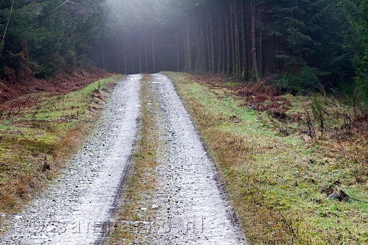 Mist boven het wandelpad naar Ruisseau des Aleines bij Fays-les-Veneurs