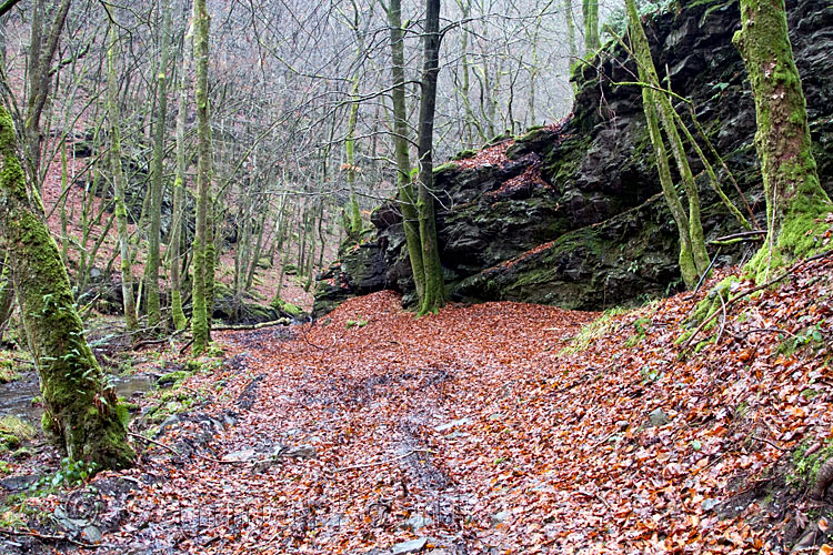 Het wandelpad langs de oever van de Ruisseau des Aleines bij Fays-les-Veneurs