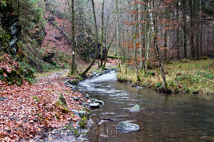 Vanaf het wandelpad met opstakels de prachtige natuur bij Fays-les-Veneurs