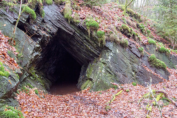 Deze tunnel is nog open langs het wandelpad bij Ruisseau des Aleines in België