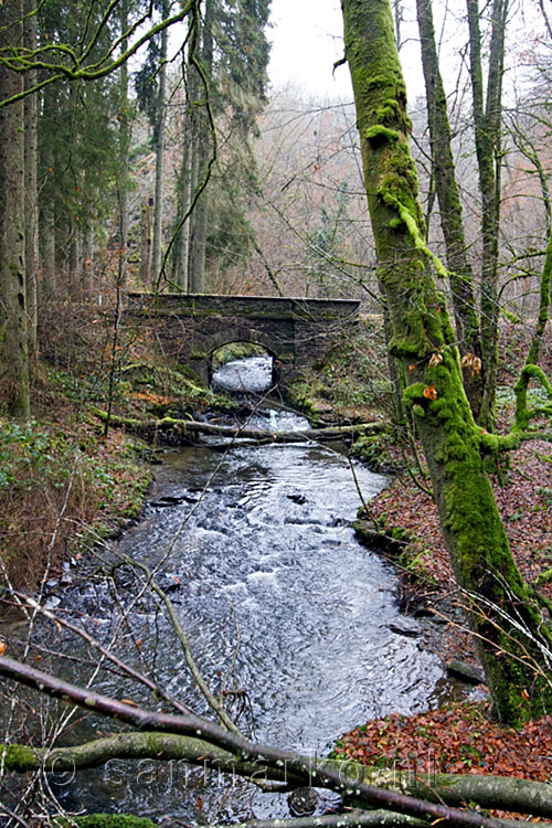 Wandelend langs een schitterdend beekje Fays-les-Veneurs in de Ardennen