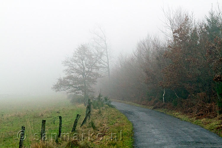 Door mistige velden wandelen we terug naar Fays-les-Veneurs in de Ardennen