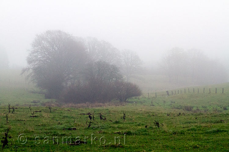 Uitzicht over de mistige velden bij Fays-les-Veneurs in de Belgische Ardennen