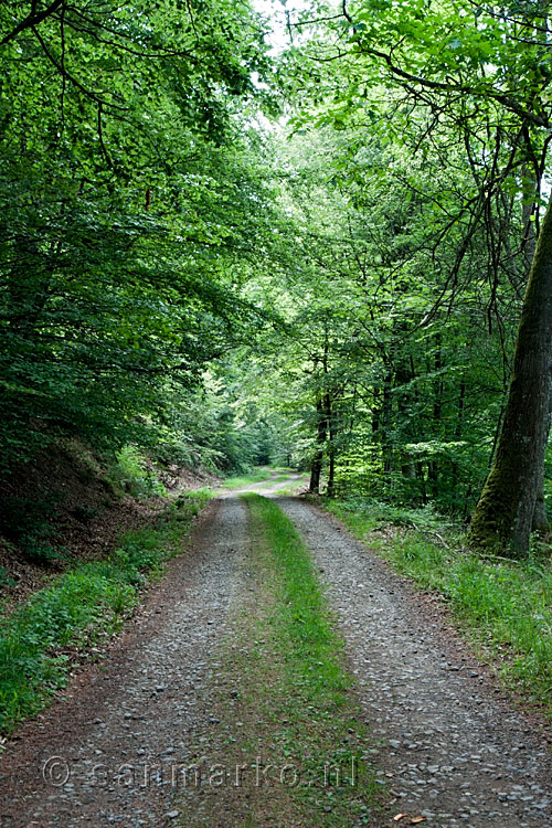 Het wandelpad door de bossen van Fourneau Saint-Michel
