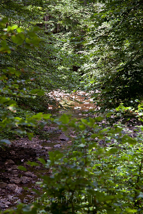 Het kleine stroompje van la Masblette in de bossen van Fourneau Saint-Michel