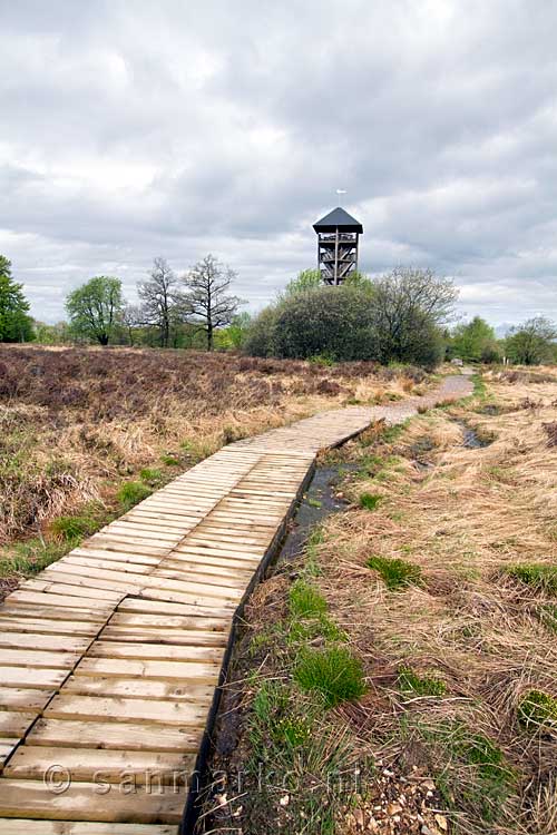 Vanaf het vlonder pad op de Malchamps uitzicht op de uitkijktoren