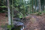 Het wandelpad langs de Roanney in de vallei van de Roanney bij Francorchamps