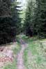 Het wandelpad tussen de bossen door terug naar Malchamps in de Ardennen
