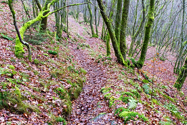 De wandeling begint met een smal wandelpad tussen Gembes en de l'Almache