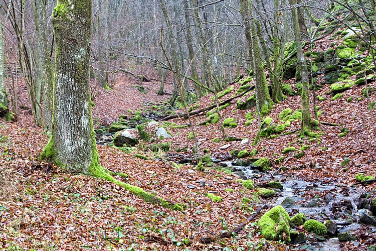 Wandelen langs het kluizenaargat tussen Gembes en Daverdisse