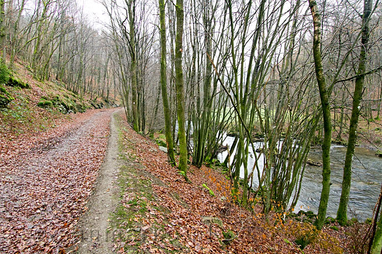 Het wandelpad langs de l'Almache tussen Gembes en Daverdissen in België