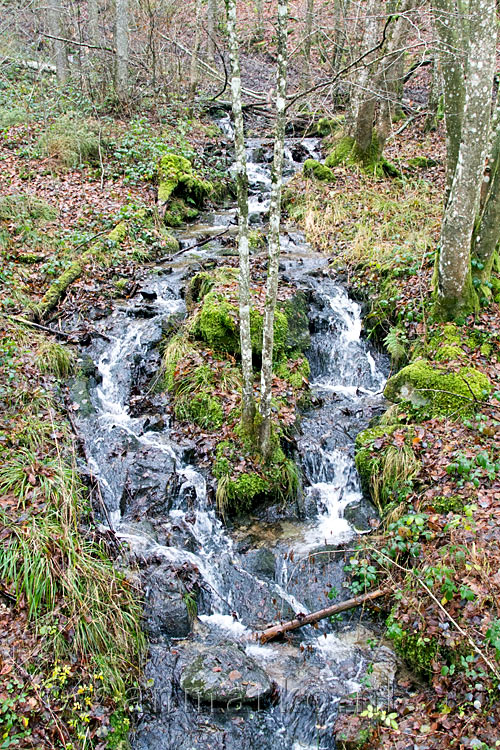 Een leuke kleine waterval langs het wandelpad tussen Gembes en Daverdisse