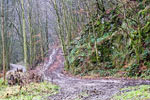Een modderig stuk wandelpad langs de l'Almache bij Gembes in de Ardennen