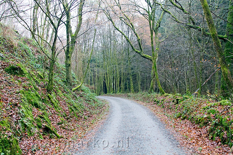 Een breed aangelegd wandelpad langs de l'Almache in de Ardennen in België