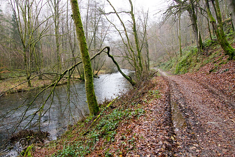 wandelend langs de Lesse bij Daverdisse in de Ardennen in België