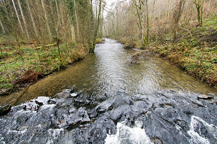 Vanaf een brug uitzicht op de l'Almache tussen Daverdisse en Gembes