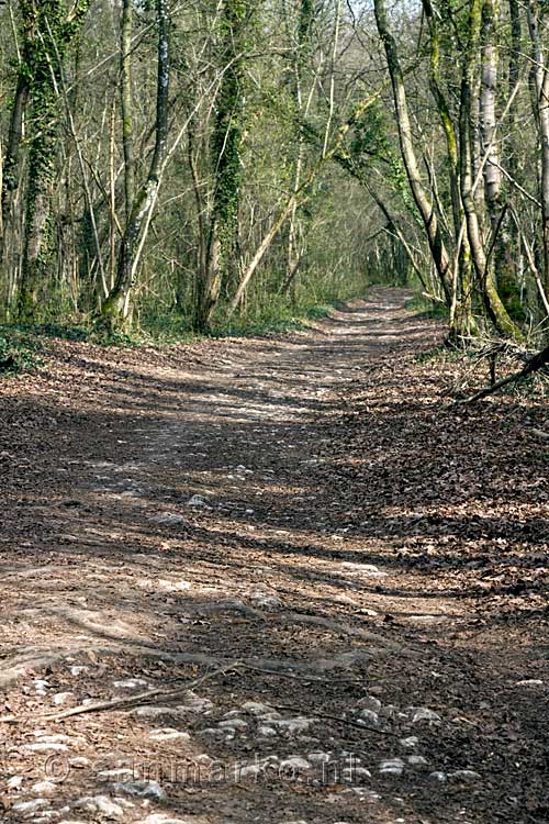 Het wandelpad in de bossen van Gendron-Gare naar Furfooz in de Ardennen