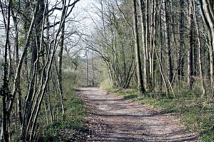 Het wandelpad naar beneden vanaf het uitzichtpunt naar de oever van de Lesse