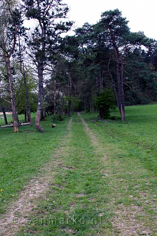 Het wandelpad tussen de bomen bij Han-sur-Lesse in de Ardennen